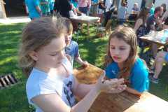 IMG-20220517-WA0058