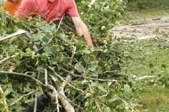 IMG-20220901-WA0013