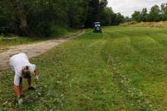 IMG-20220901-WA0014