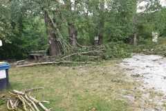 IMG-20220901-WA0018