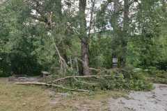 IMG-20220901-WA0019